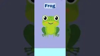 Amazing Aquatic Animals | Learn About Ocean Friends #learning #kids #educationalvideo