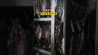 Industry low temperature cold air industrial fish dryer food and vegetables agriculture dehydrator