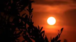 Ajab Si Baat, Raag Khamaj, Radhika Chopra, Ghazal