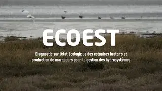 LEMAR | Projet ECOEST