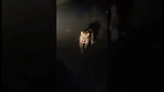 cheetah at anaikatti SHOLAYUR  #cheetah