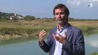 La sauvegarde du littoral à Quiberville