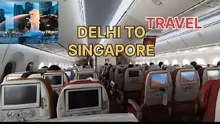 New Delhi to Singapore flight full view ✈️ travel history part 1 #travel #flight #airplane 
