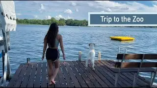 Vlog 77: The Minnesota Zoo