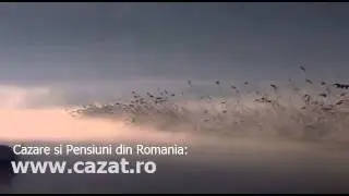 Cazare Golenti, Dolj - Cazat.ro