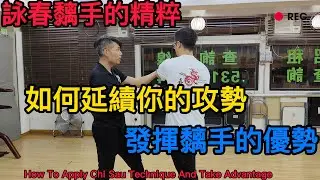 詠春｜詠春攻房｜「繁體字幕」詠春黐手的精粹｜如何延續攻勢發揮黐手優勢｜How To Apply Chi Sau Technique And Take Advantage｜Wing Chun