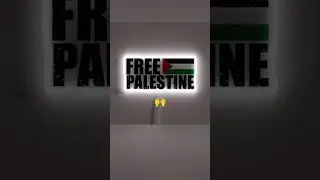 #freepalestine #free #innocent #help #fyp#🇵🇸
