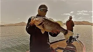 FUN FISHING DAY! Diamond Valley Lake - April 6th, 2019