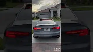 New Audi RS5 2020 Sound