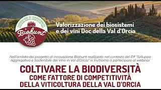 Biohunt, viticoltura in Val d'Orcia. L'incontro del 29 giugno 2022