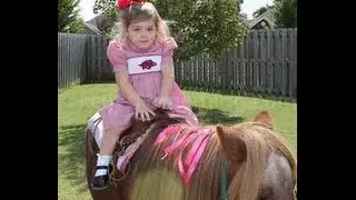 Pony Petting Zoo Ponies Rentals Kid's Birthday Party Los Angeles Orange County! 888 501 4FUN