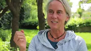 Reflections from Dr Frances Garrett about the First Five Years of the Centre for Buddhist Studies