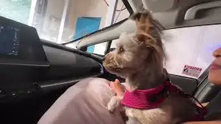 Uber Lyft Prius first car wash
