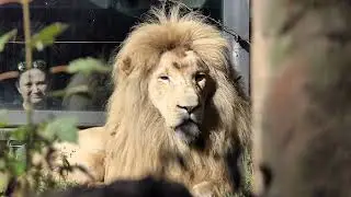 ZOO EBERSWALDE