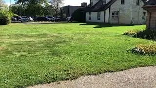 Wright Stander ZK Autonomous Commercial Lawnmower Mowing #2