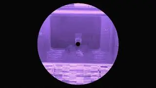 Arma - What's That? (2022) [house - 129 BPM]