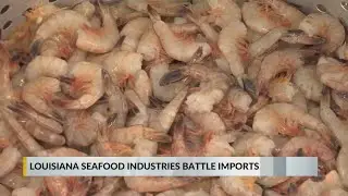 Louisiana shrimpers battle imports to preserve authenticity