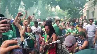 Palmeiras..torcida rasta...massa reggae do verd&atilde;o...