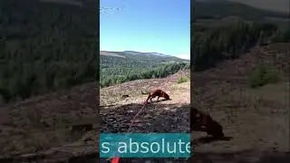 Gorgeous Reservoir Views: A Breathtaking Sight!