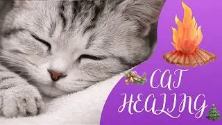 Fireplace & Sleeping Kitten 🐱🔥 | 고양이 힐링 불멍_7 Hours 4K