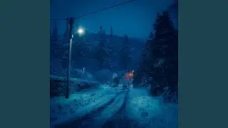 Winter Trail
