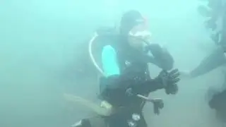 Amber diving