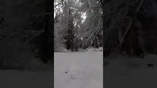winter in Moscow region