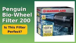 REVIEW (2026): Penguin Bio-Wheel Filter 200. Features.