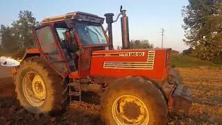 FIATAGRI 180-90 & NIEMEYER 4 VOMERI | Italian Ploughing