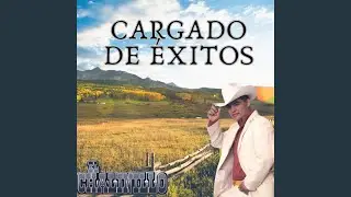 A Cada Rato