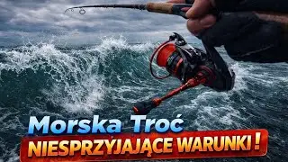 W poszukiwaniu MORSKIEJ TROCI | Trochę nas podlało!