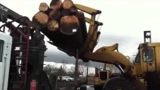 Unloading timber at Buse Timber in Everett Washington