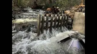 Salmon Habitat Restoration, East Weaver Creek Dam Removal, Trinity County CA, 2022-23