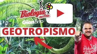 GEOTROPISMO - teoria