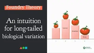 FT019 - An Intuition for Long-Tailed Biological Variation