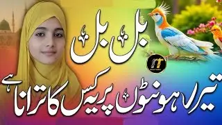 New Naat Bul Bul Tere Honton Par Ye Kiska Tarana Hai#islamicvideo#naat#najam#naatsharif#trend#shorts