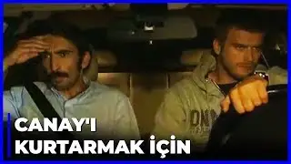 Halil ve Yusuf, Canay'ı Aramaya Başladı | Menekşe ile Halil 8. Bölüm