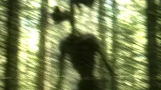 Sirenhead - Silent Stalking Documented - Found Footage