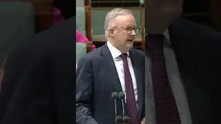 Prime Minister Anthony Albanese calls the opposition 'delulu with no solulu' in debate after budget