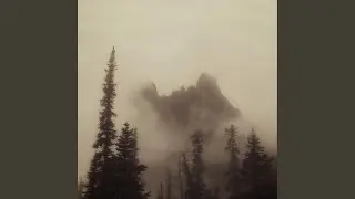Waking in the Wild