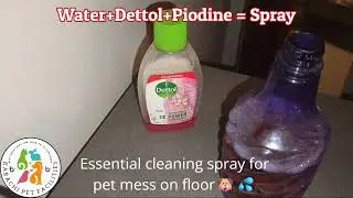 Pet Hygiene Hack! DIY Spray for Pet Urine & Potty Areas 🐶#cat #pet #dog #kitten #viralvideo #reels