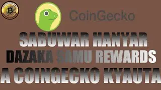 YADDA ZAKA SAMU REWARDS A COINGECKO