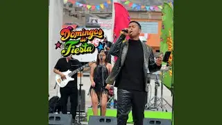 Mix Chayanne / Atado a Tu Amor / un Siglo Sin Ti / Tú Te Vas