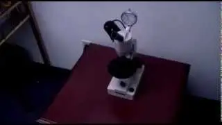 Марко РадиусГаудж