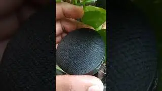 Blueetooth Speaker🔥 🔊|| Infinity Fuze Pint || Budget 😍||