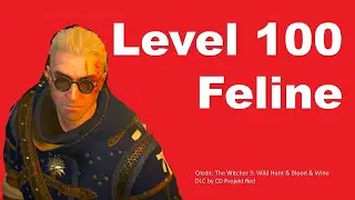 You Must Get Level 100 Cat School Witcher Grandmaster Gear, En, Sup, Master crafting feline #witcher