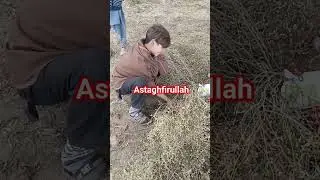 Subhan Allah Alhamdulillah #music #arabic #love #answer #account #топ rana official