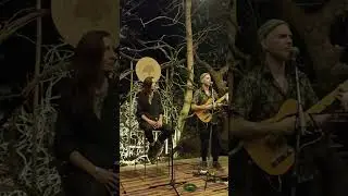 D&uuml;sh! GOA live music, Arambol