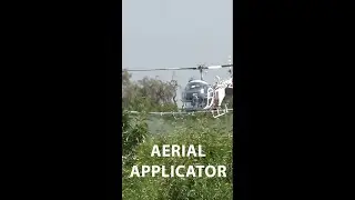Iconic old spraying helicopter in action #shorts