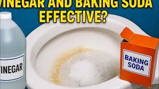 HOW TO CLEAN TOILET BOWL STAINS NATURALLY WITH BAKING SODA AND VINEGAR